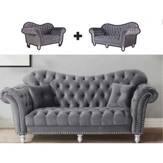 Elegant sofa Set 2+3